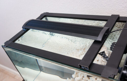 use excess channel of the Innovative Marine SafeScreen DIY Top to mount the stock EVO LED light
